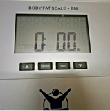 Body Composition Scale